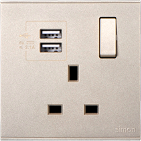 Bộ ổ cắm kiểu Anh 13A có cổng sạc USB (Champagne) E6 721384-46