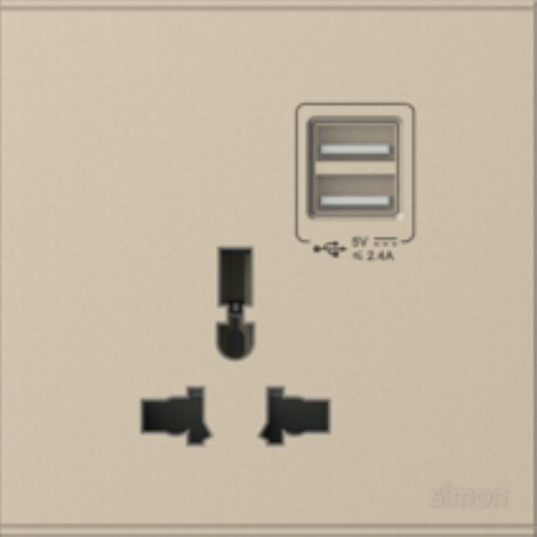 Bộ Ổ cắm đơn đa tiêu chuẩn 10A có cổng sạc USB (Champagne) E6 72E725-46