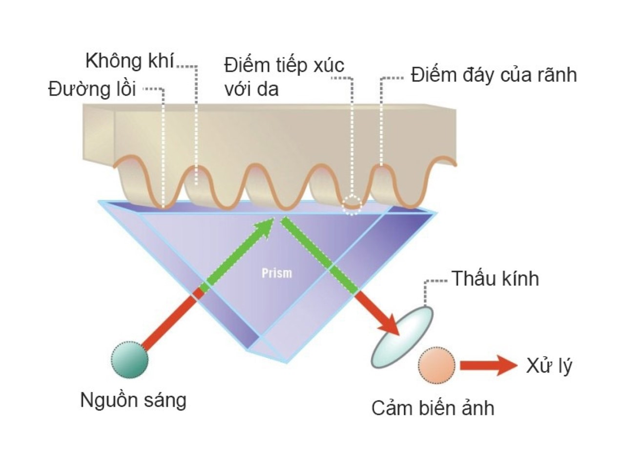 Nguyên lý hoạt động của cảm biến vân tay 